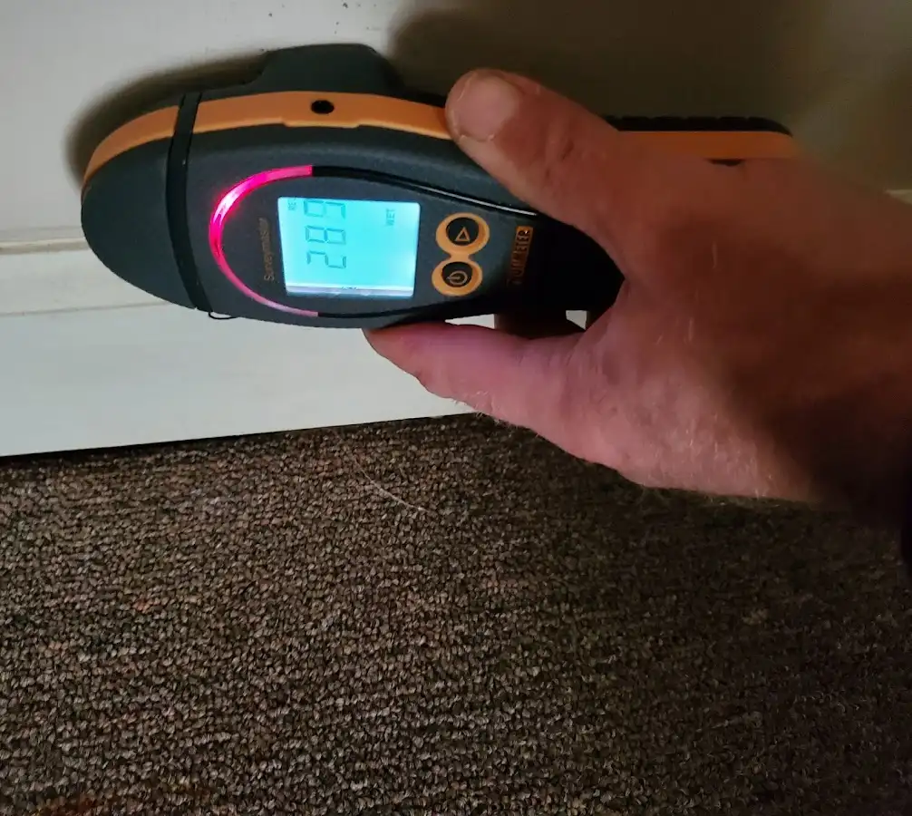 Moisture detection at baseboard during Sewage Cleanup & Sanitation in Kearney